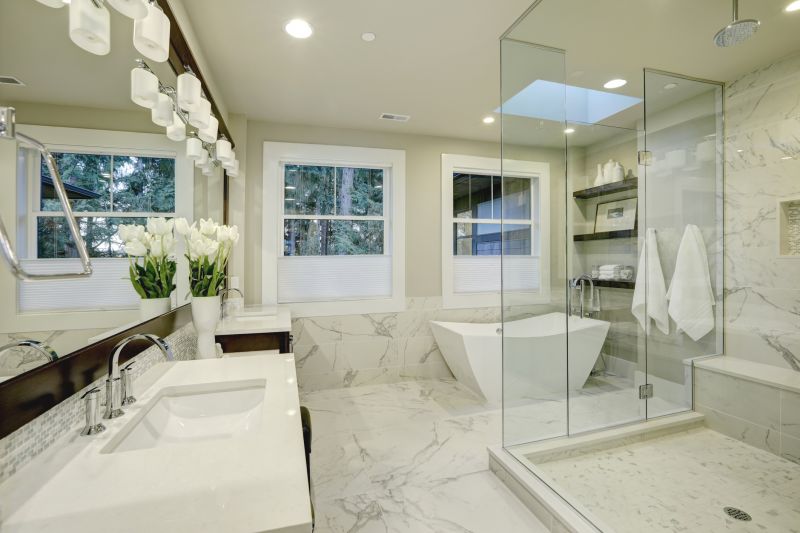 Modern Shower and Tub Combination